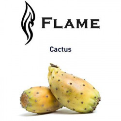 Cactus Flame Cactus Flame